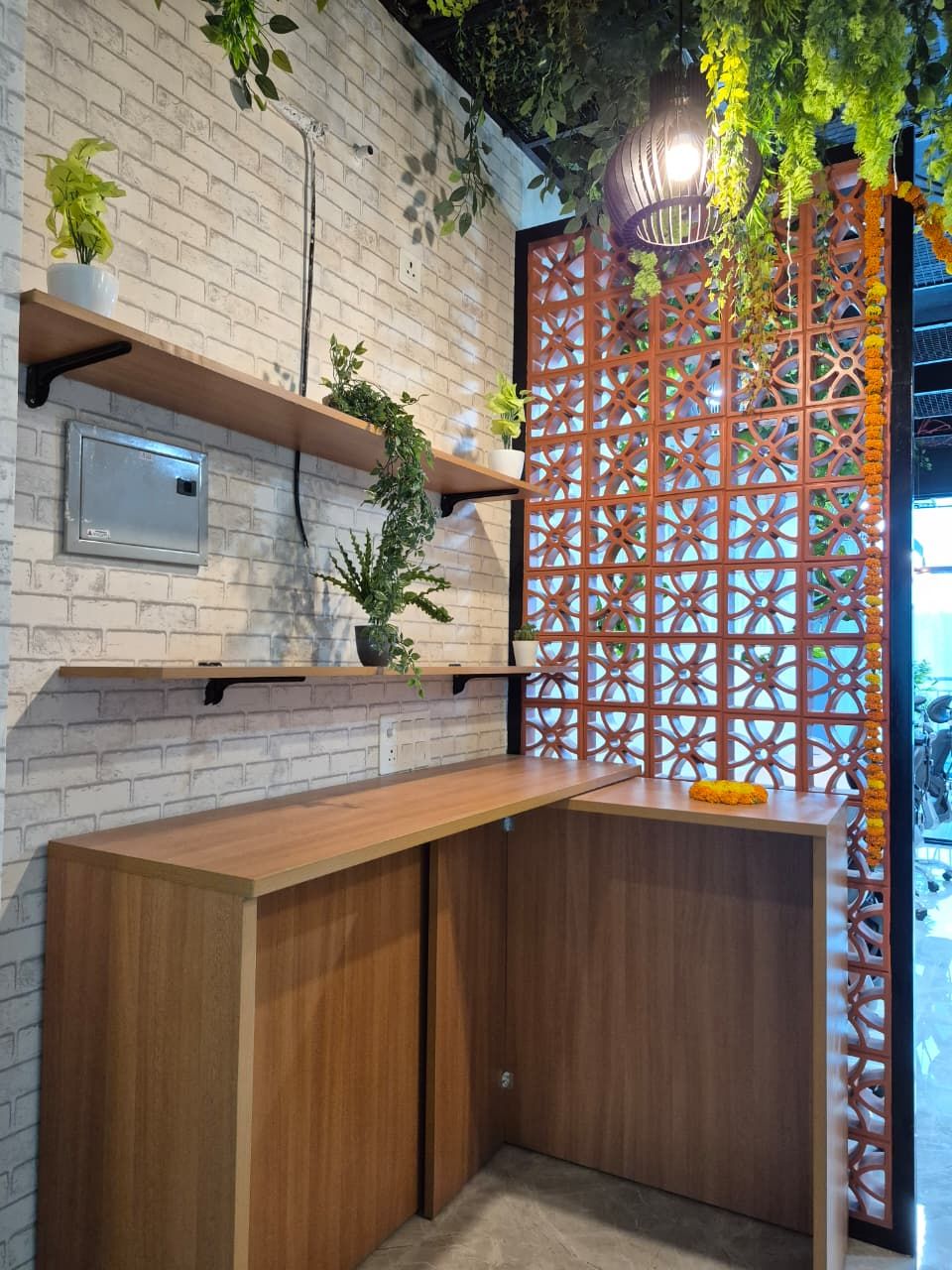 Informal lounge seating beneath hanging planters